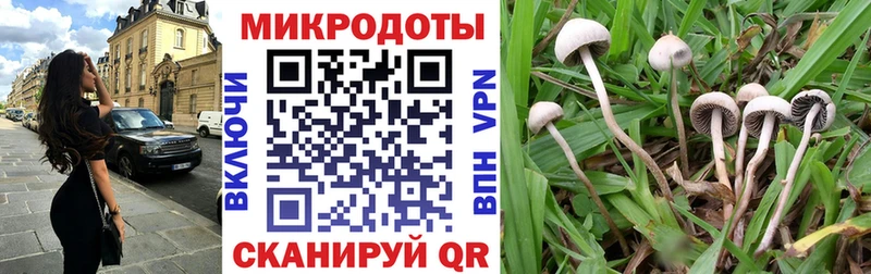 Псилоцибиновые грибы Cubensis  нарко площадка телеграм  Сафоново 